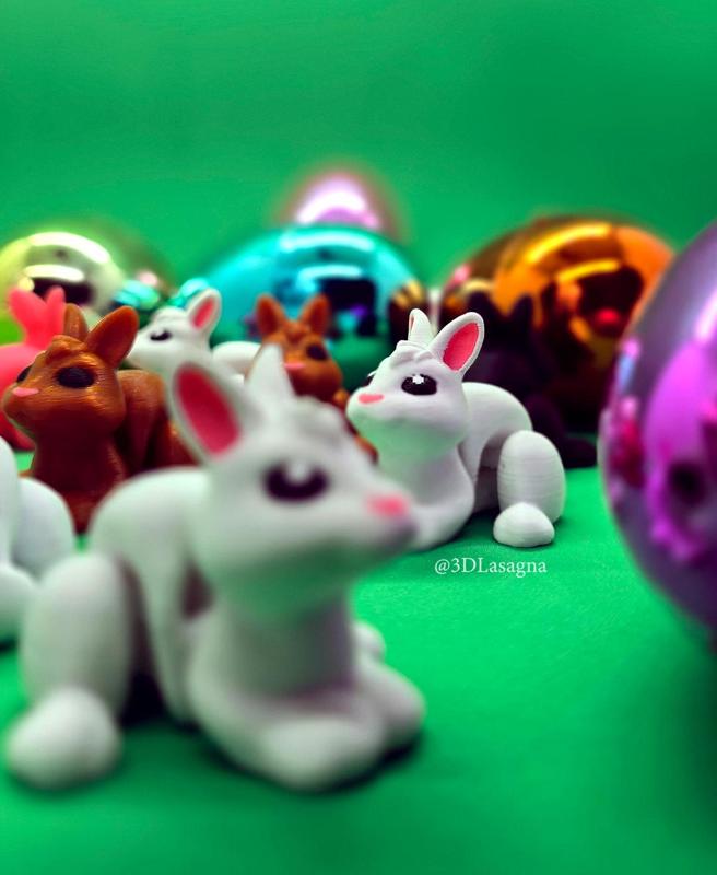 3DL Rabbit