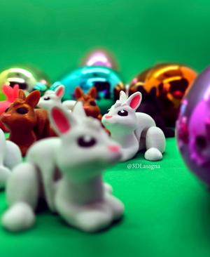 3DL Rabbit
