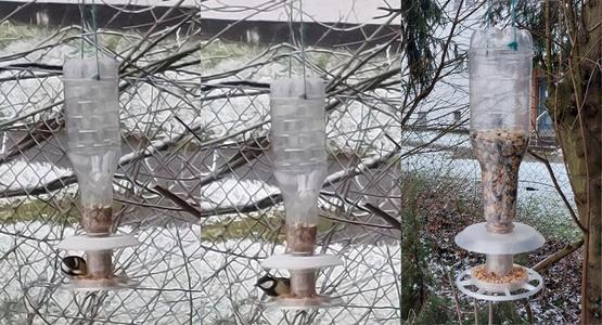Bird Feeder (Valensina Bottle)