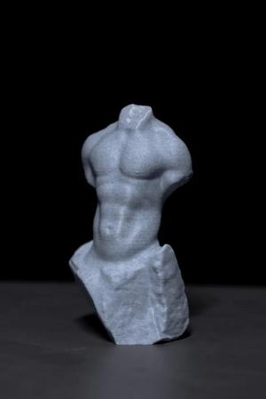 Carved Male Torso   