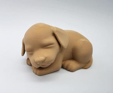 Sleeping Puppy 2