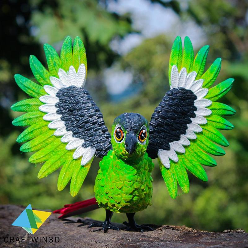 Flexy Conures Print in place