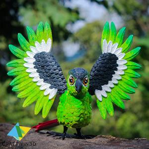 Flexy Conures Print in place