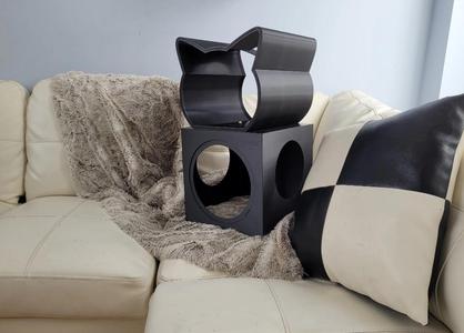 cat home