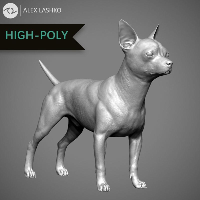 Chihuahua High-Poly