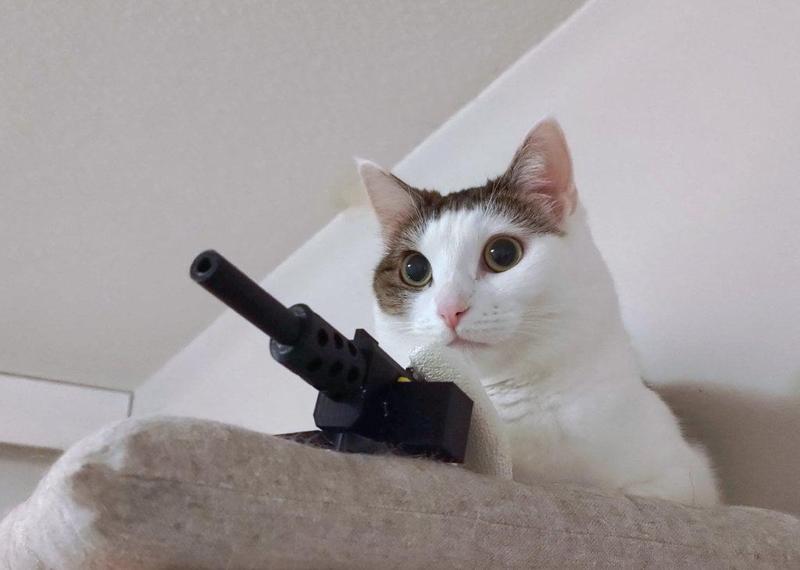Meowchine Gun Kitty