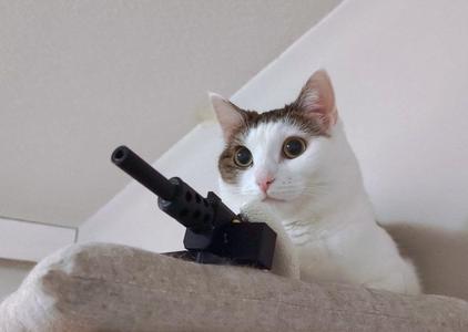 Meowchine Gun Kitty