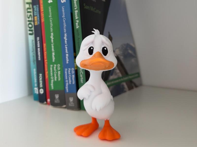 The Ugly Duckling