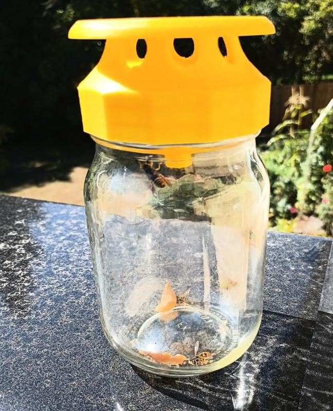 wasp trap for regular mouth canning jar