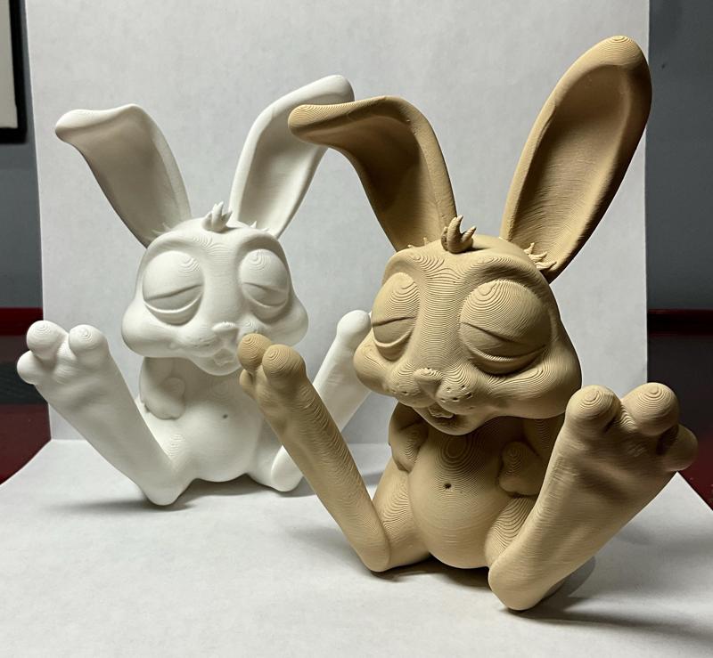 Funny Bunny