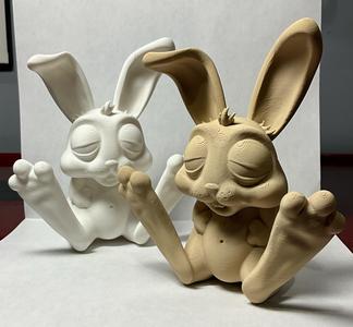 Funny Bunny