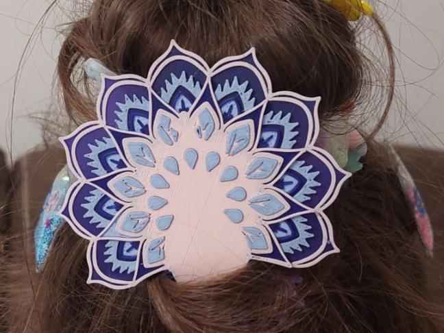 Peacock Hair Clip