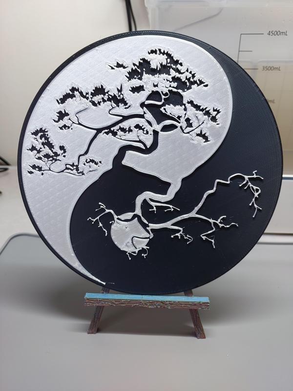 Bonsai Yin Yang 1