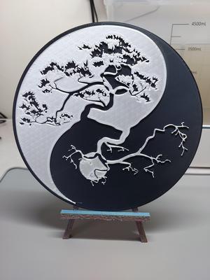 Bonsai Yin Yang 1