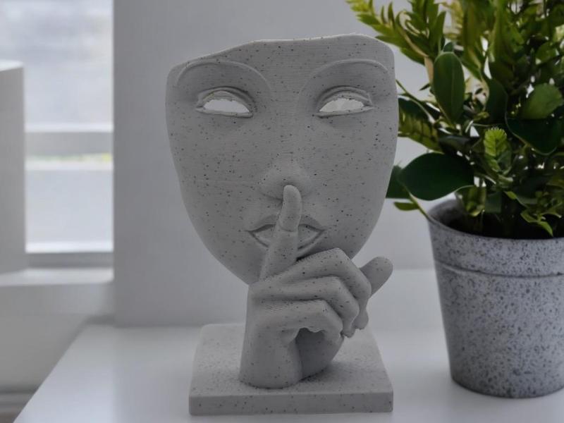 Silent Expression  The Art of Mystery and Elegance