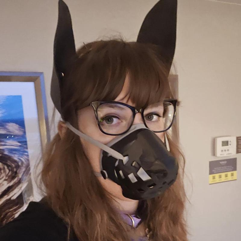 The Snask (Snout mask for Flo Mask Pro)