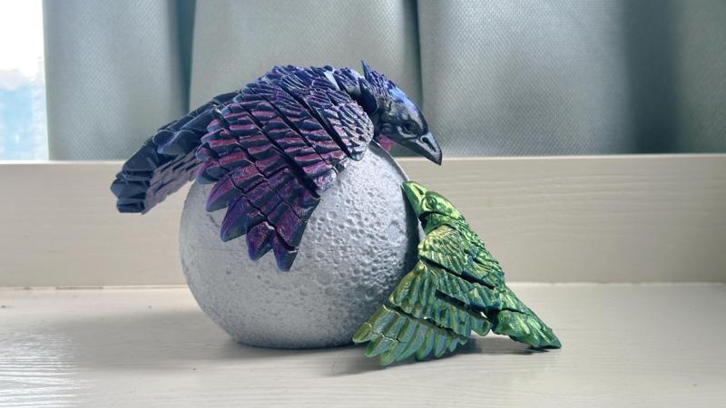 Two flexi Bird 