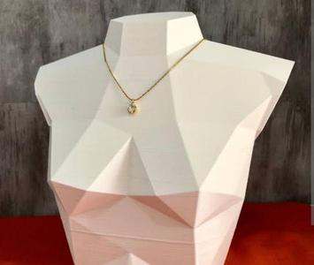 Torso Necklace Display
