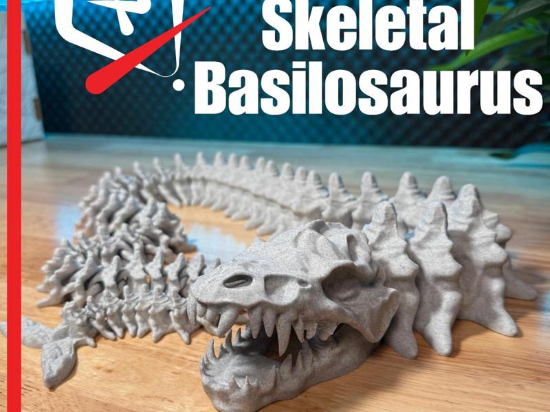 Articulated Skeletal Basilosaurus
