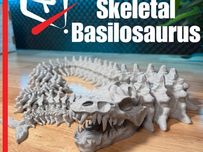 Articulated Skeletal Basilosaurus