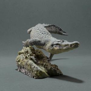 American Alligator - Swim