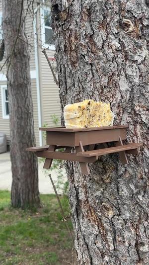Picnic Table Bird Feeder   