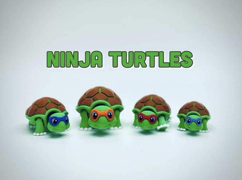 NinJa Turtles 