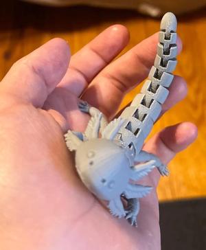 Articulated Axolotl v2.stl