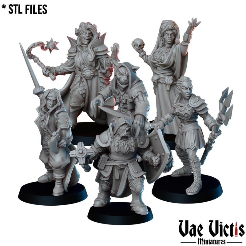 The Adventuring party