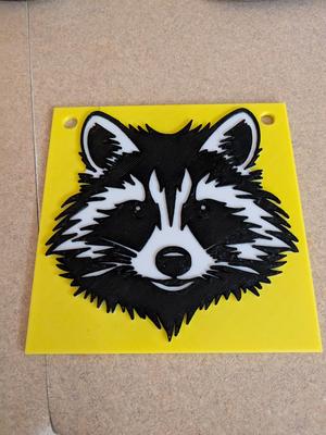 Raccoon Plaque