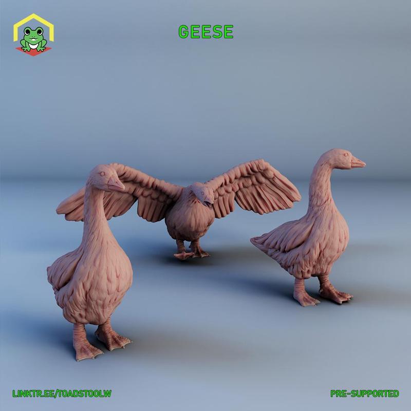 Geese