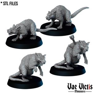 Giant rats
