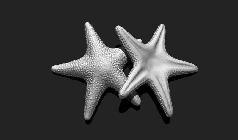 Starfish 5 - 3D Print - Aquarium