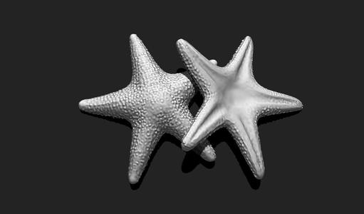 Starfish 5 - 3D Print - Aquarium