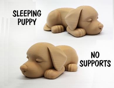 Cute Sleeping Puppy - No Supports