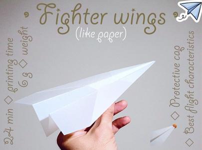 Fighter wings