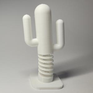 Saguaro Cactus Fidget