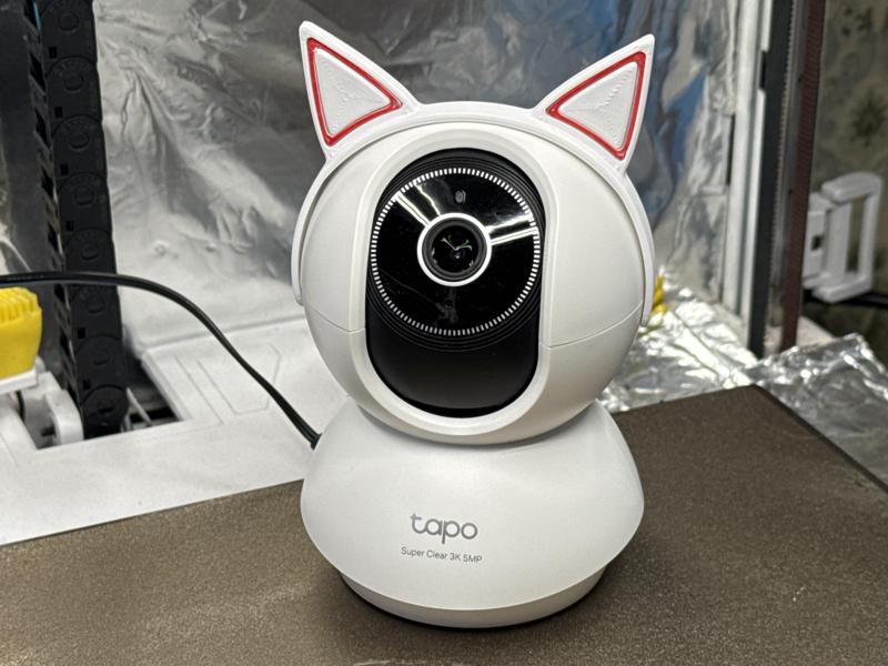 Tapo Reolink Camera Cat Ears