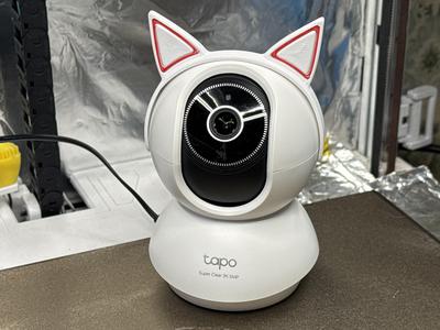 Tapo Reolink Camera Cat Ears