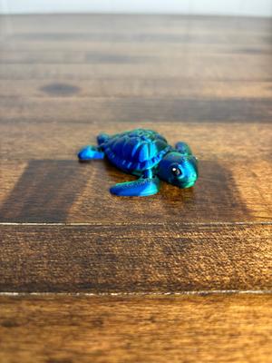 Sea Turtle