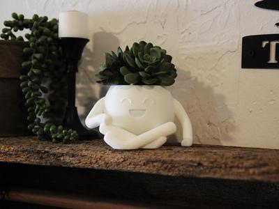 Relaxing Pot - Mini Succulent Planter
