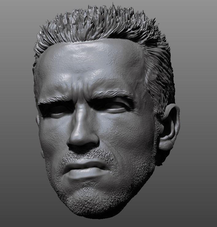 Alan Dutch - Arnold Schwarzenegger custom head