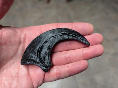 Deinonychus Claw