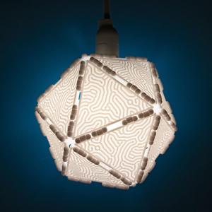 Polypanels // Coral Lithophane (Reaction Diffusion Luminaire)