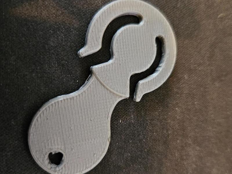 Removable Loonie (Canadian $1 Coin) Trolley Token