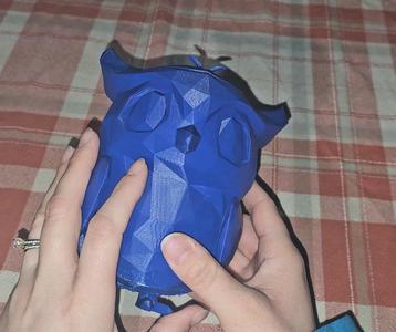 Owl - Stash Box