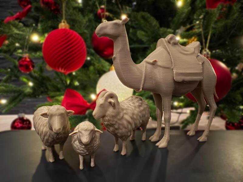 Nativity animals: 3 Sheep and a Camel
