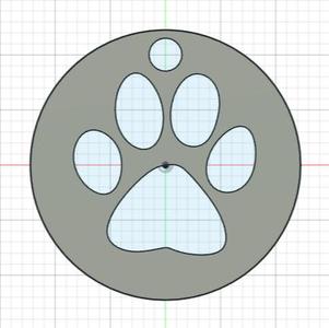 Trolley coin PAW