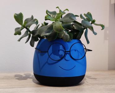 Cute Smiling Flower Pot With Smart Glasses