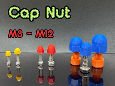 Cap Nut (Acorn Nut) Set M3-M12